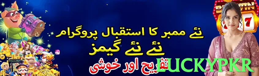 luckypkr interface sample - 3