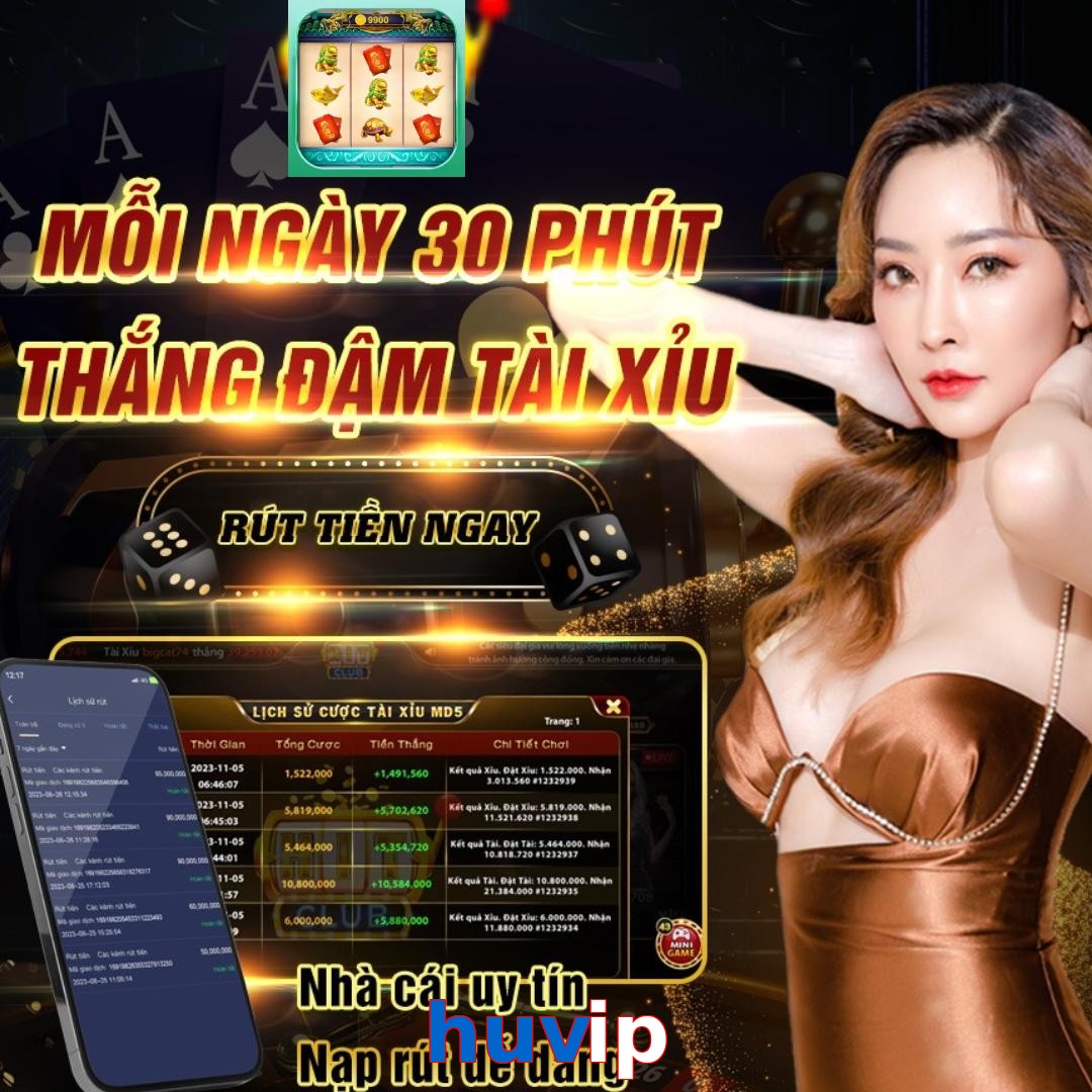 huvip