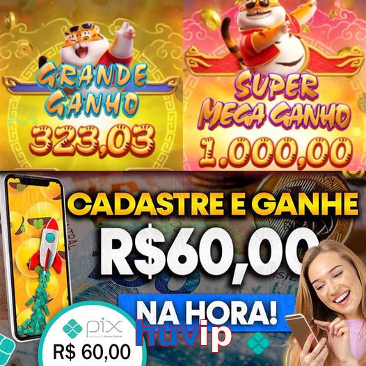 huvip