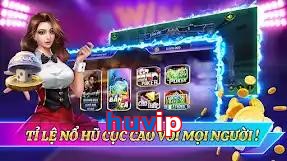 huvip