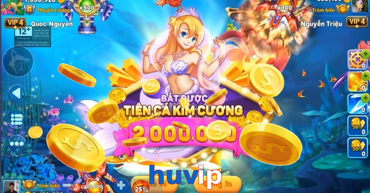 huvip