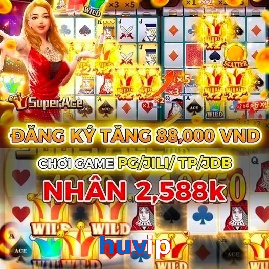 huvip