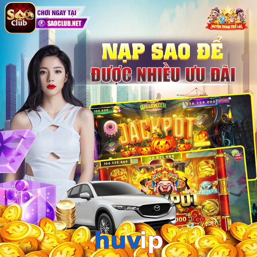 huvip